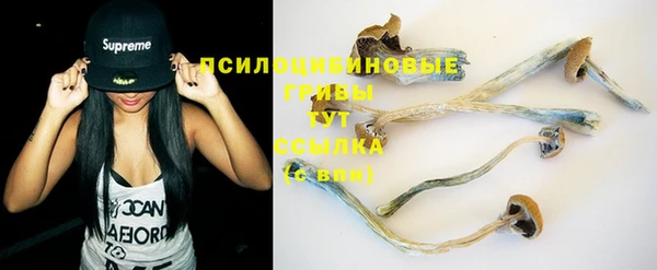 mix Белокуриха