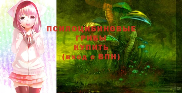 2c-b Богородицк