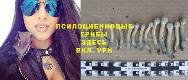 mdpv Богданович